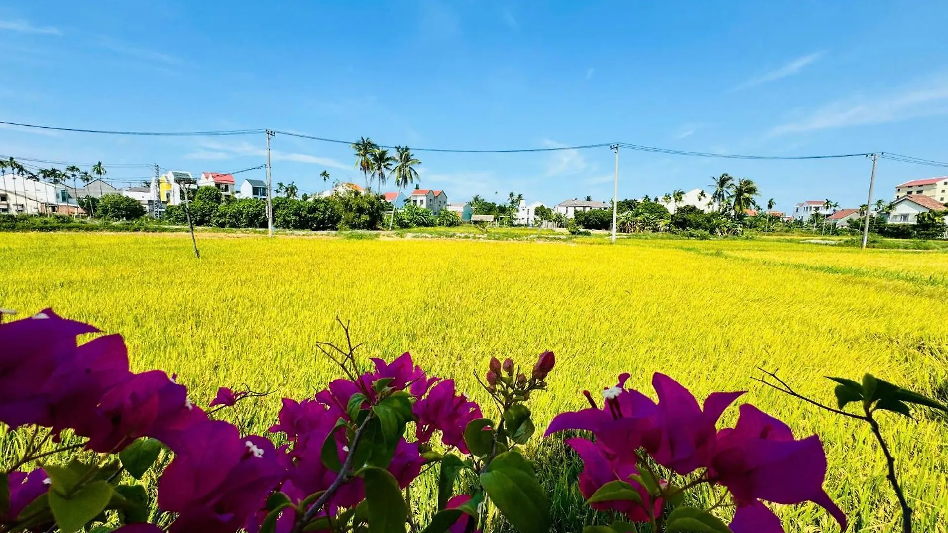 Tai Ngoc Thao Villa Hoi An Vietnam