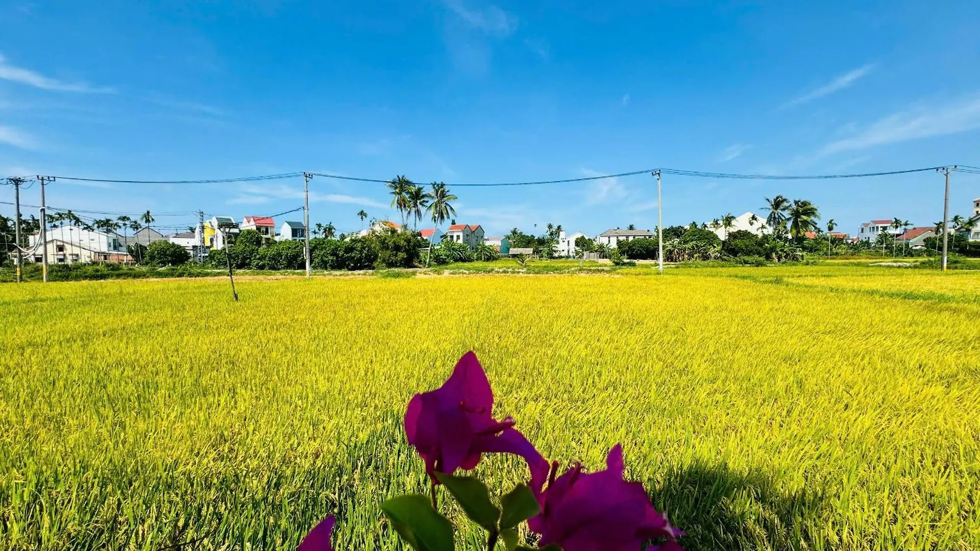 Tai Ngoc Thao Villa Hoi An 0*,  Vietnam
