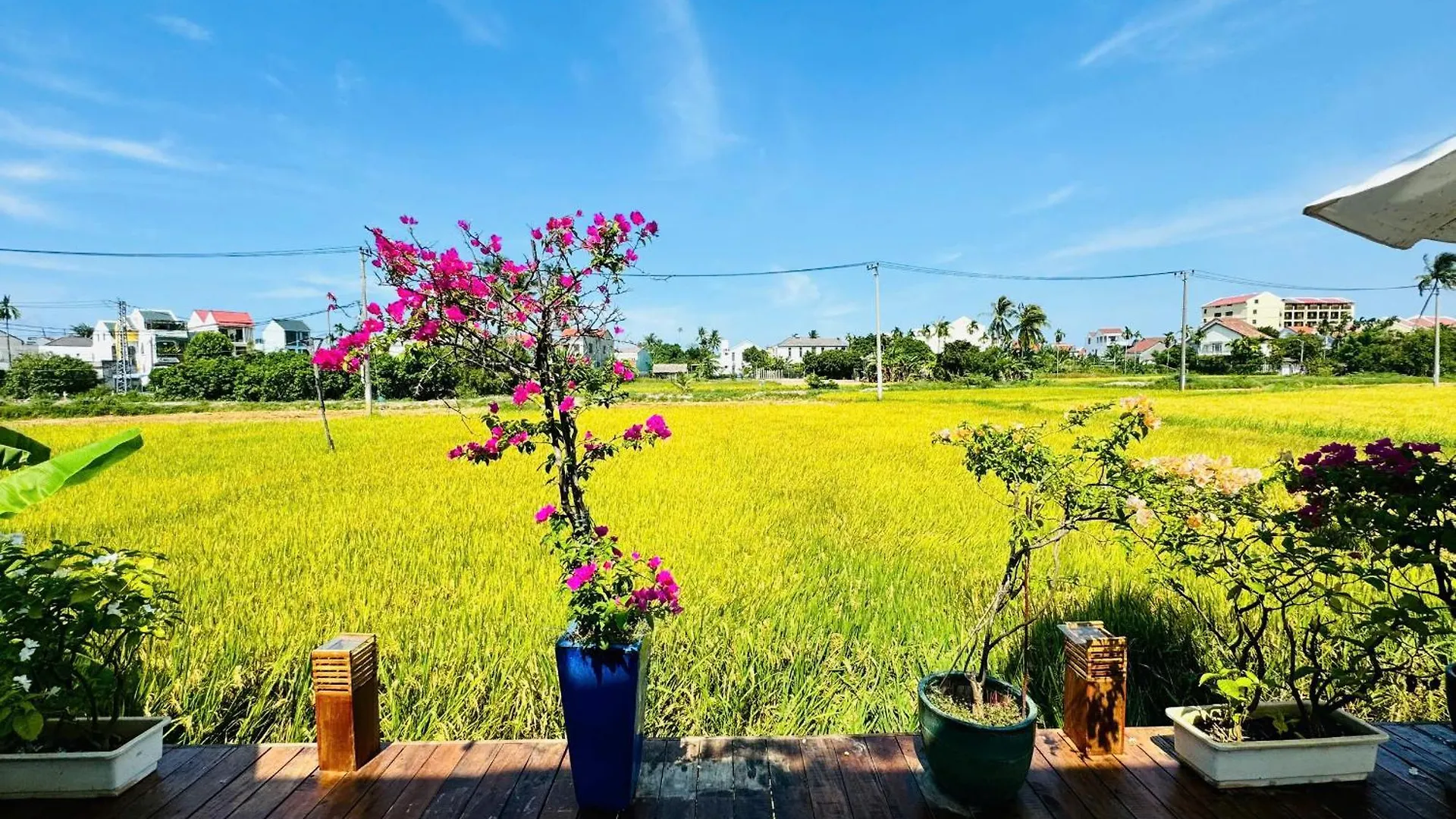 Tai Ngoc Thao Villa Hoi An Oda ve Kahvaltı