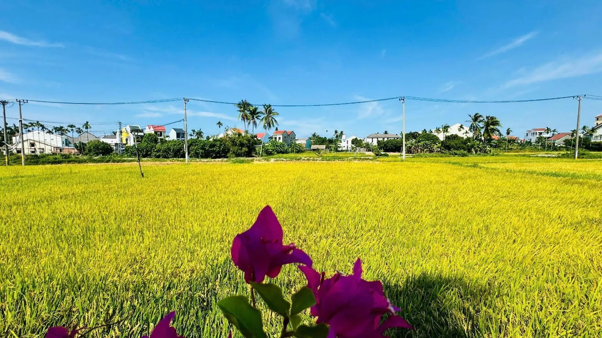 Tai Ngoc Thao Villa Hoi An Oda ve Kahvaltı