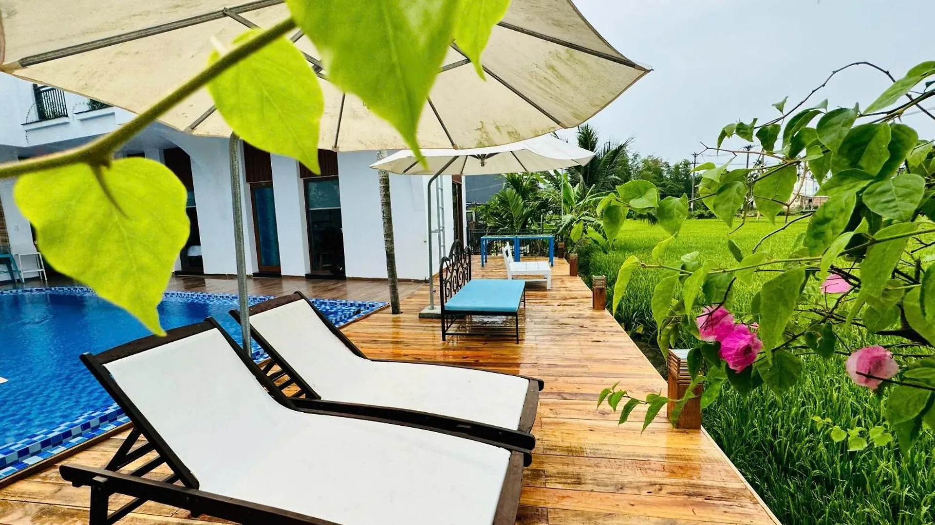 Tai Ngoc Thao Villa Hoi An
