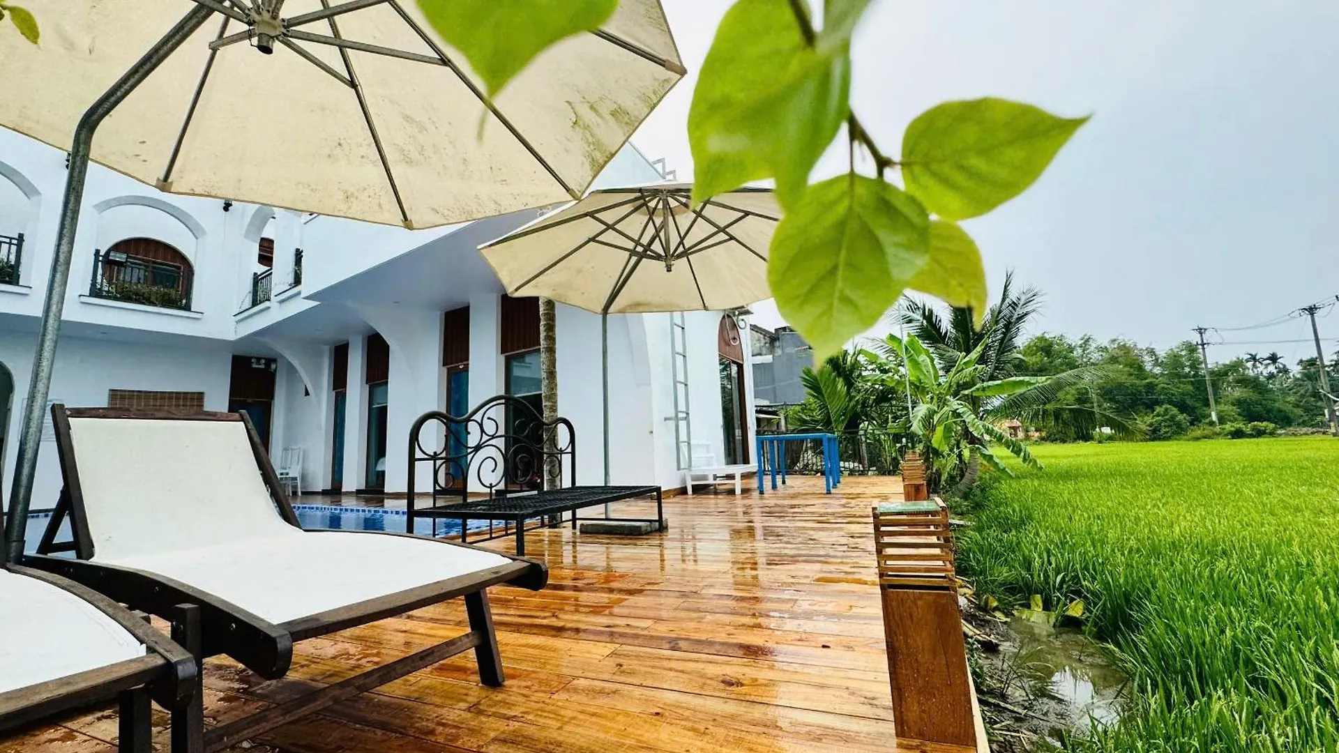 Oda ve Kahvaltı Tai Ngoc Thao Villa Hoi An