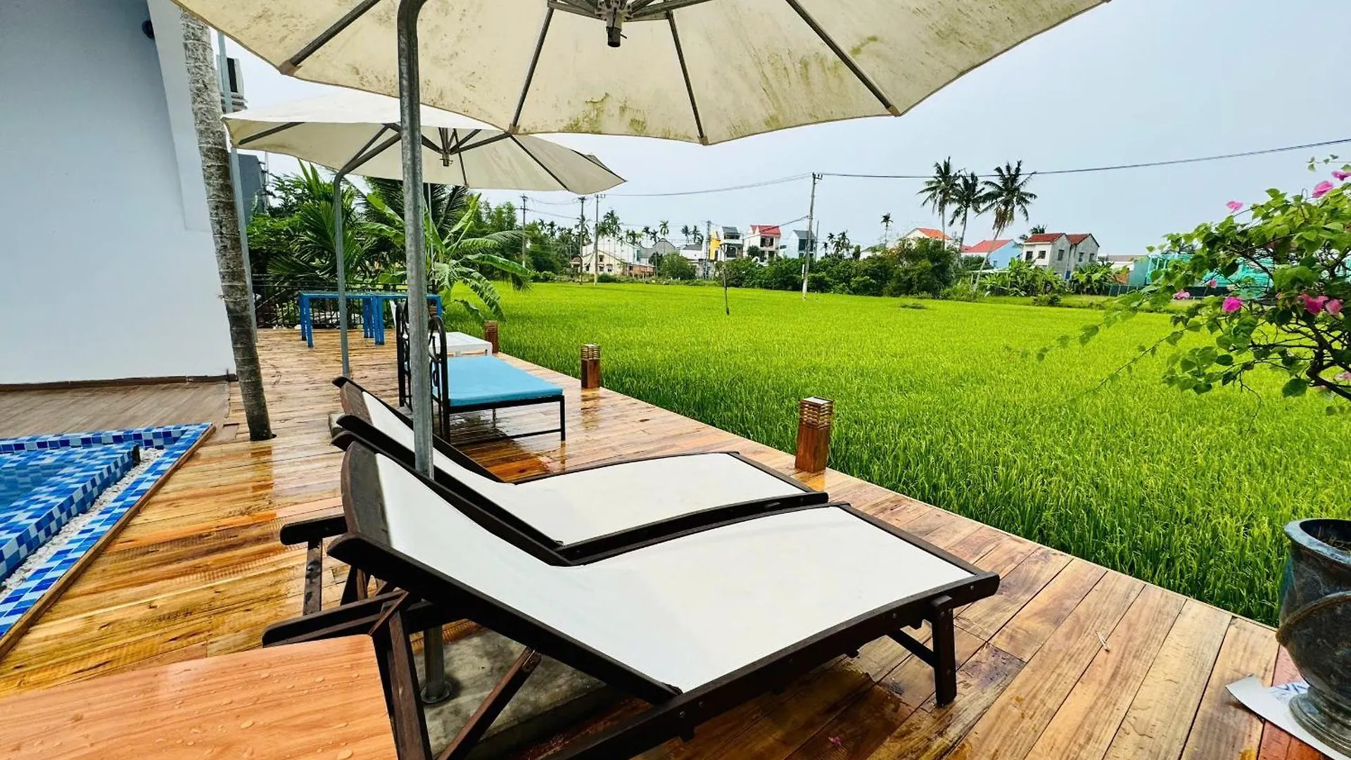 Tai Ngoc Thao Villa Hoi An 0*,  Vietnam