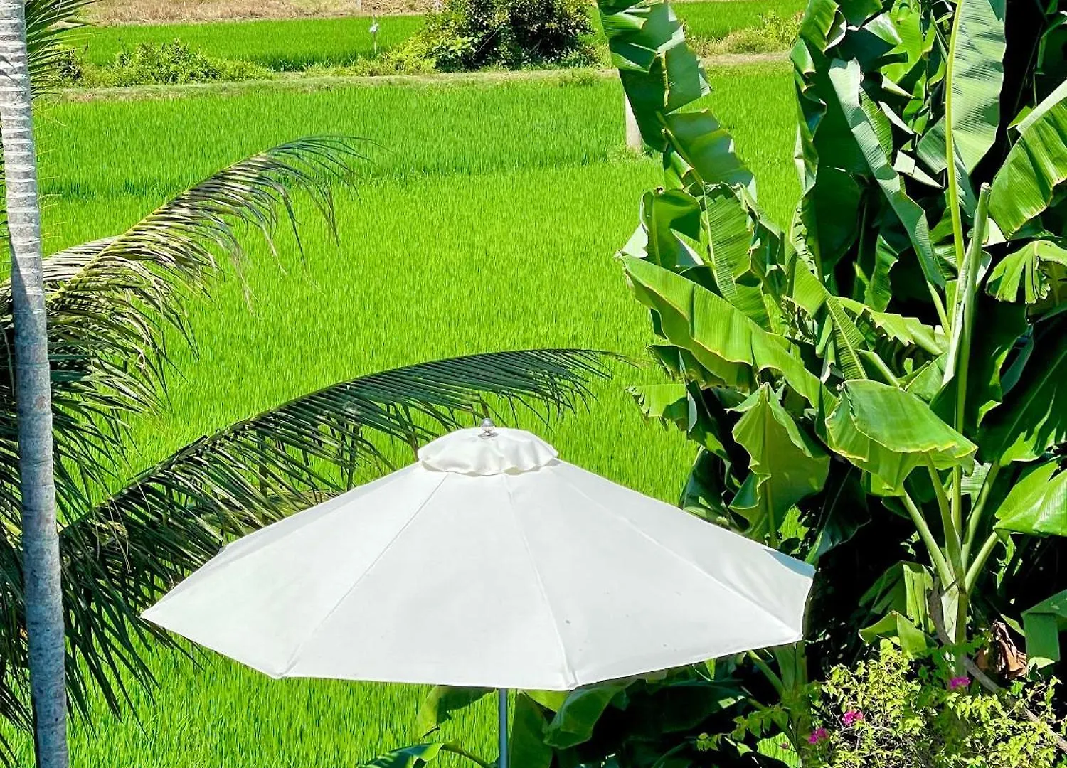 Tai Ngoc Thao Villa Хойан 0*,